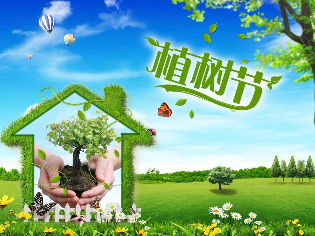 北京現(xiàn)代“智現(xiàn)代，植未來”，你我共建森林邵陽