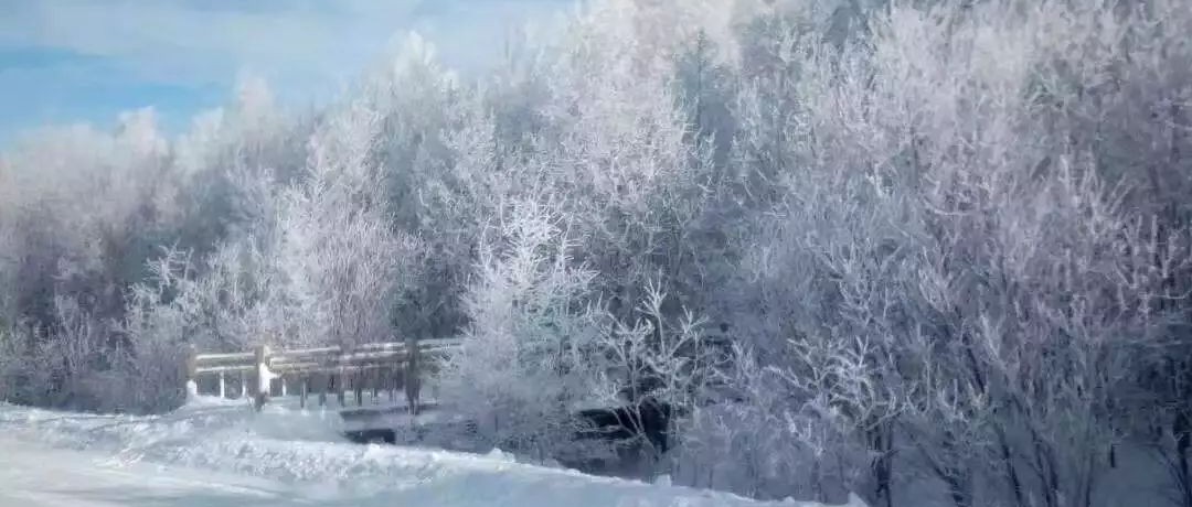 奕行記|奕路向北，駛向雪國阿爾山